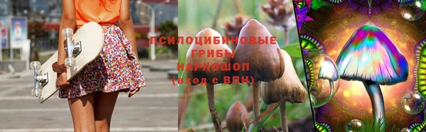 spice Алзамай