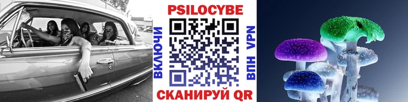 Галлюциногенные грибы мухоморы  Апатиты 